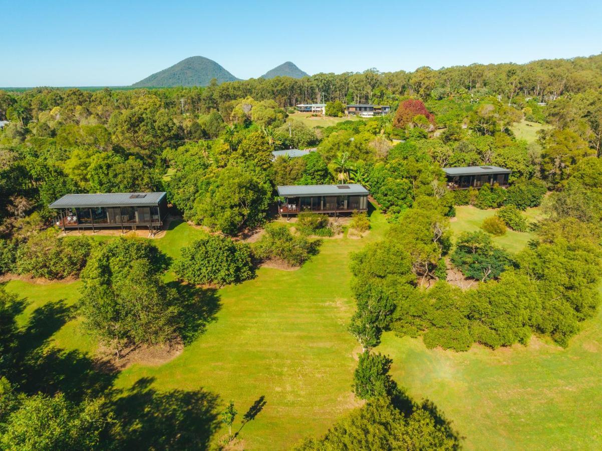 Vidrio en Invernadero Glass House Mountains Exterior foto