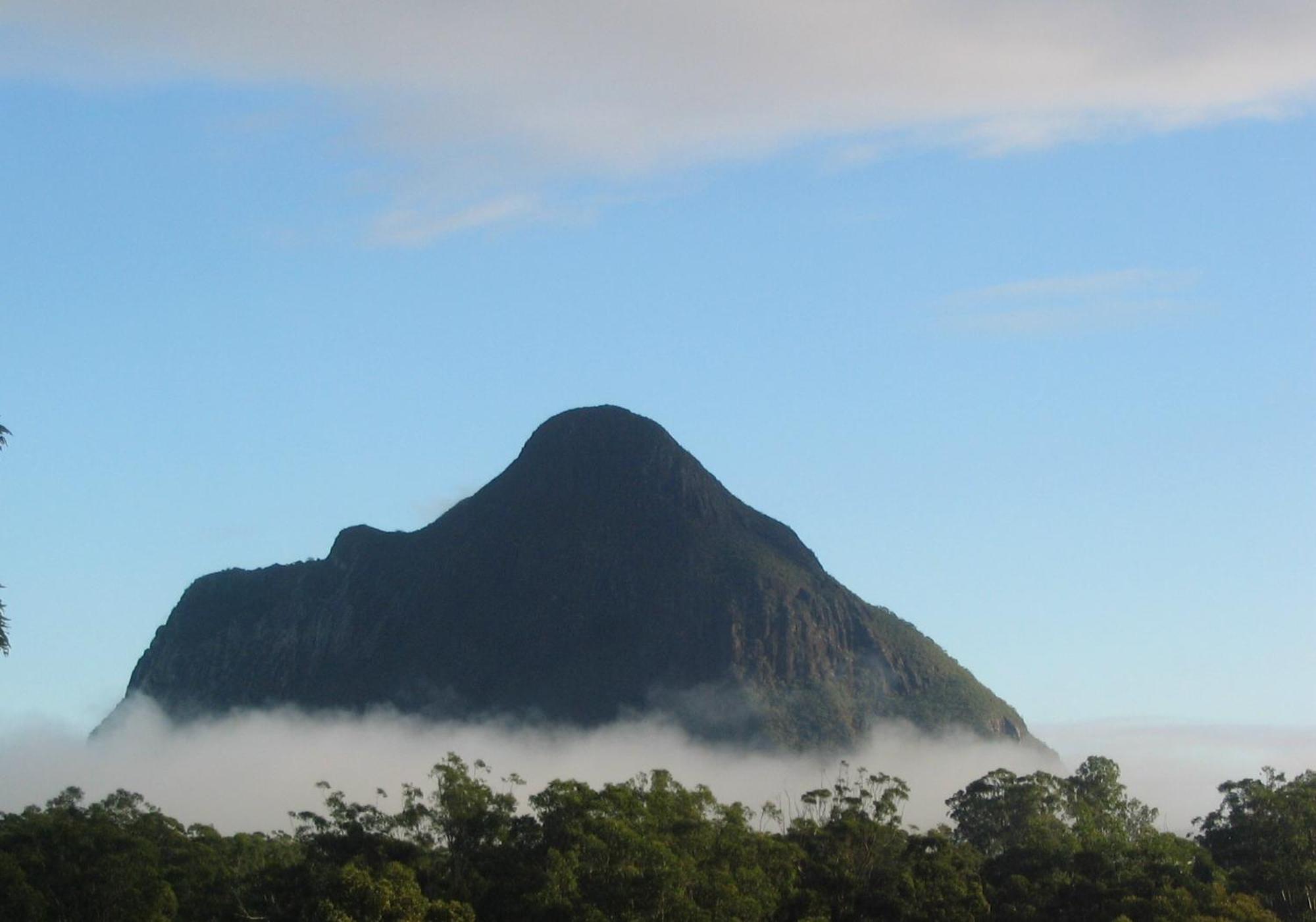 Vidrio en Invernadero Glass House Mountains Exterior foto
