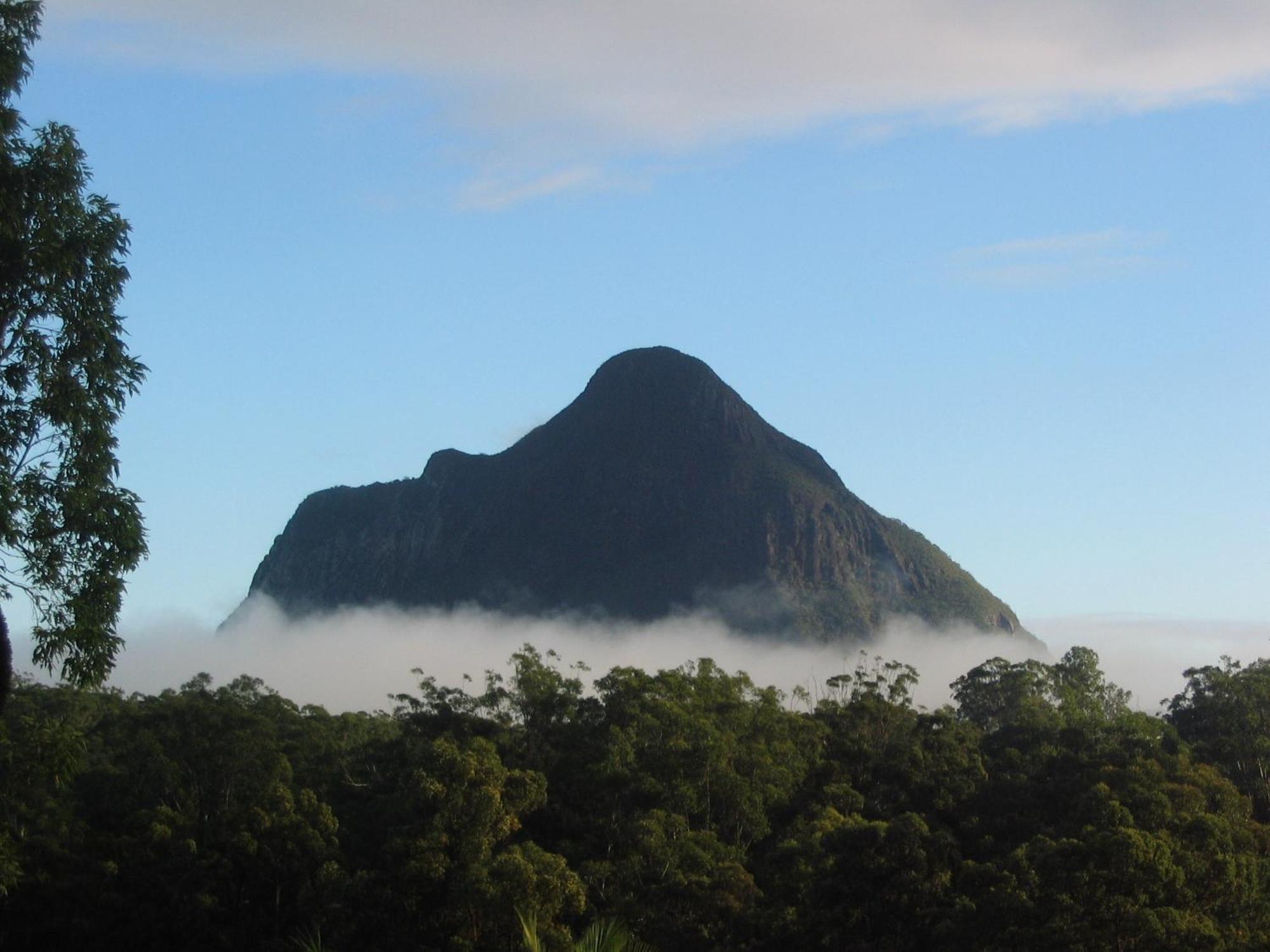 Vidrio en Invernadero Glass House Mountains Exterior foto
