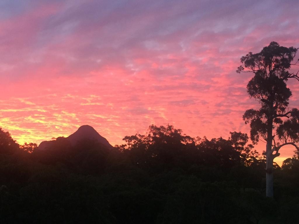 Vidrio en Invernadero Glass House Mountains Exterior foto